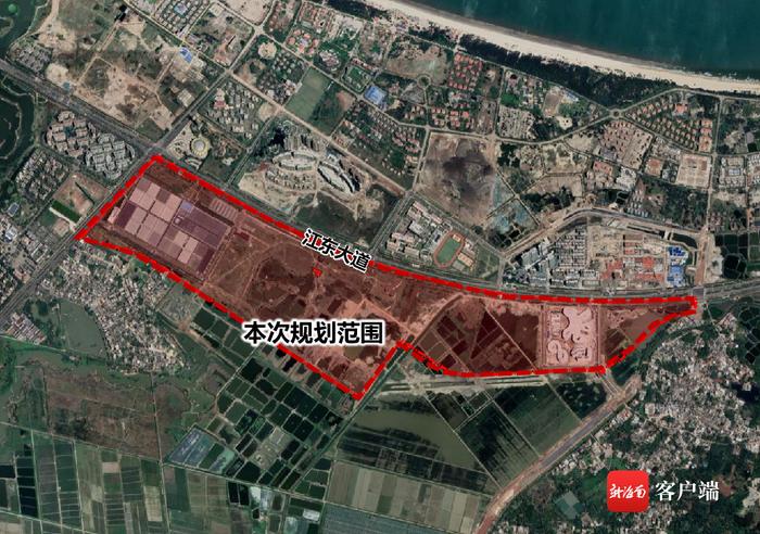 快来提意见！海口江东新区滨海红树林南片区规划图出炉