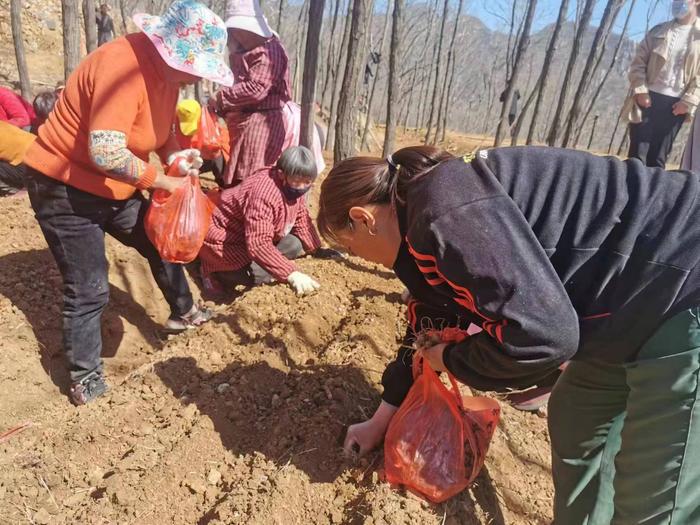 乡村振兴关键是琢磨透3个字 在登封重识“土特产” ｜郑州观察