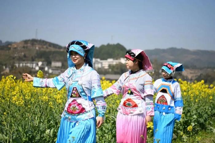 乡约贵州 · 开阳县田坎村丨人间万事消磨季，又到一年煮茶时