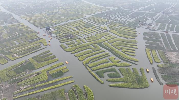 C视频｜水润中国•对话世界灌溉遗产|“垛”上花开