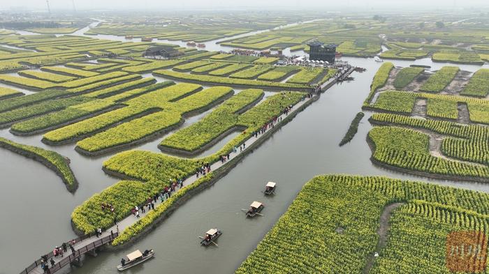 C视频｜水润中国•对话世界灌溉遗产|“垛”上花开