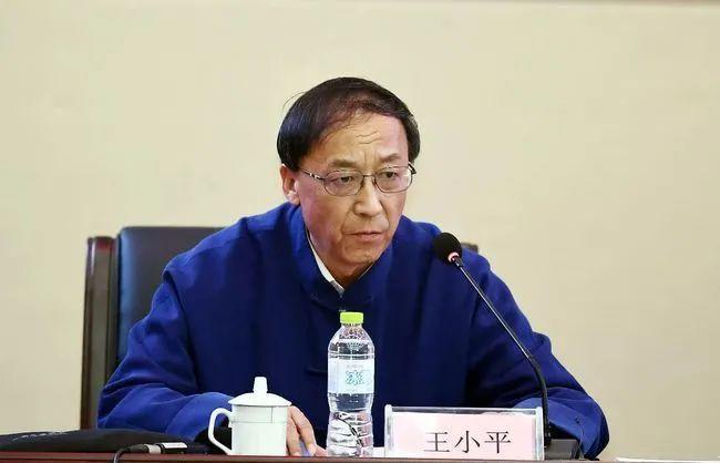↑王小平(网络资料图)