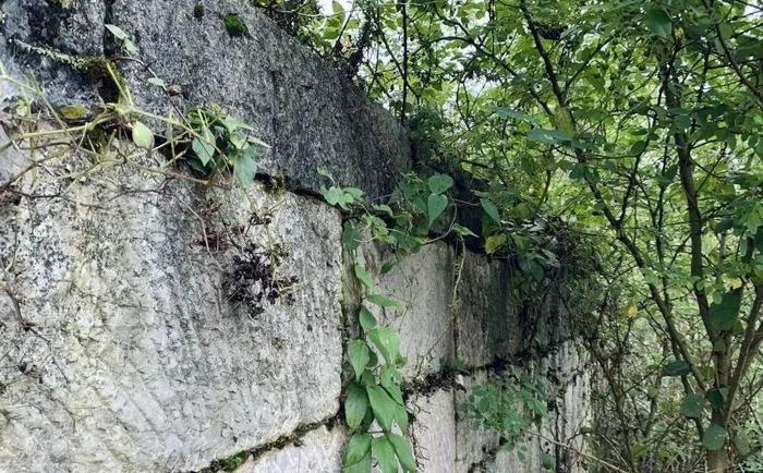 乡约贵州 · 开阳县田坎村丨人间万事消磨季，又到一年煮茶时