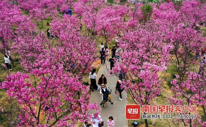 广西即将迎来一大批好玩有趣的文旅项目，你准备好去打卡了吗？