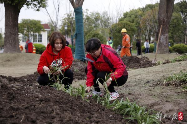 上海最大人工河开始“绣花边”：闵行浦江大治河公园开建