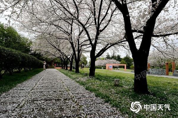 局地有大到暴雨！强对流天气已“上线”，海南未来几天天气情况→