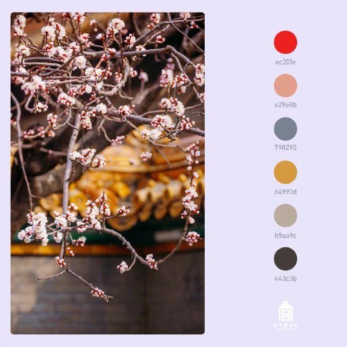 忍不住转发系列 快来查收“故宫春日色卡”