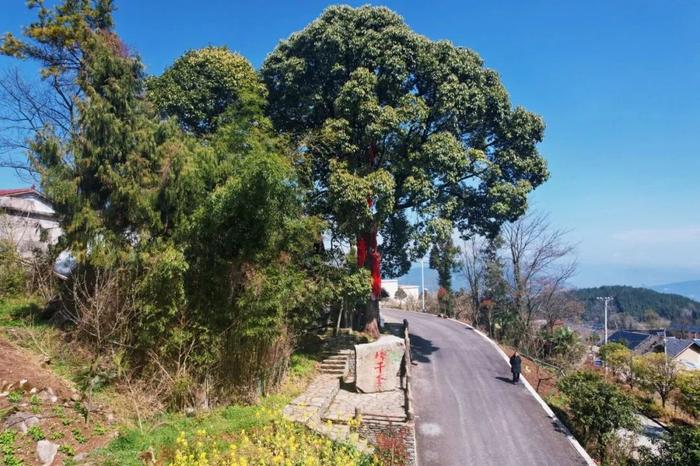 生态文学 • 重庆行 | 奉节大窝：废弃矿山里藏着的“诗和远方”