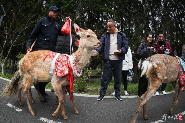 花朝节主会场都有哪些好玩的？这条盘点不容错过