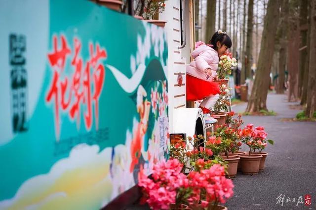 花朝节主会场都有哪些好玩的？这条盘点不容错过