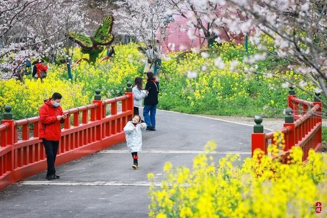 花朝节主会场都有哪些好玩的？这条盘点不容错过