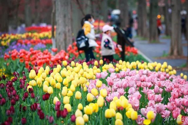 花朝节主会场都有哪些好玩的？这条盘点不容错过