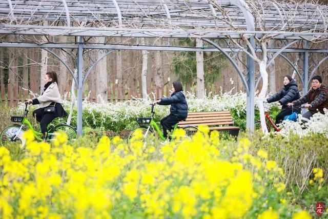 花朝节主会场都有哪些好玩的？这条盘点不容错过