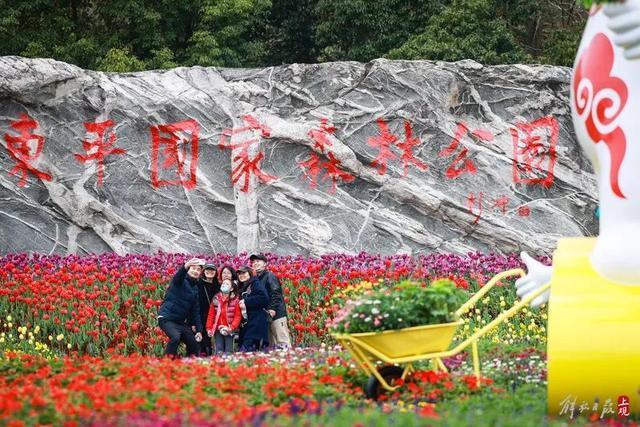 花朝节主会场都有哪些好玩的？这条盘点不容错过