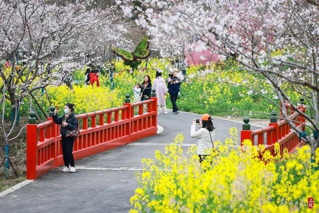 花朝节主会场都有哪些好玩的？这条盘点不容错过