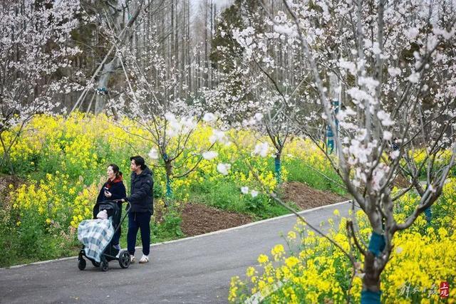 花朝节主会场都有哪些好玩的？这条盘点不容错过