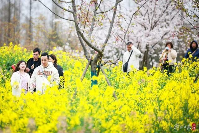 花朝节主会场都有哪些好玩的？这条盘点不容错过