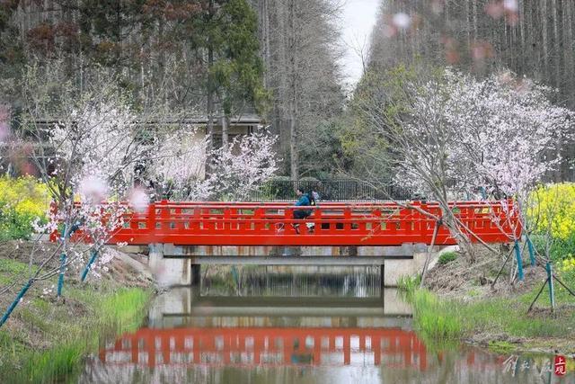 花朝节主会场都有哪些好玩的？这条盘点不容错过