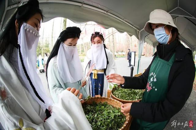 花朝节主会场都有哪些好玩的？这条盘点不容错过