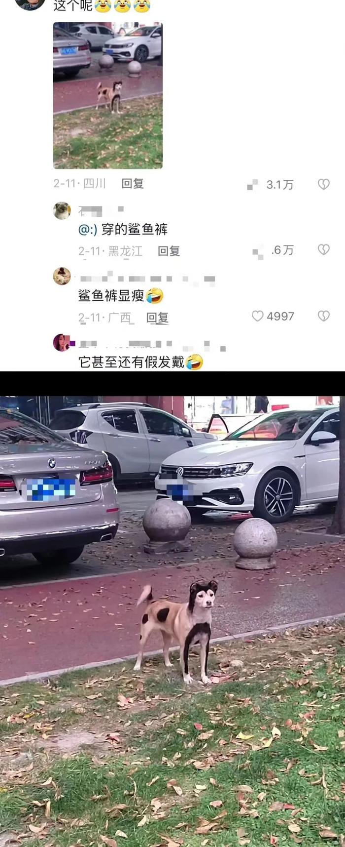 “广州地铁能有多拥挤？”大爷二十多年的驼背，坐一趟三号线愣给挤直了……哈哈哈哈哈哈哈