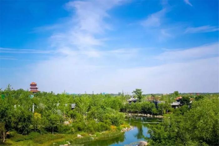 中国式现代化的“郑州图景”㉔｜信有山林在市城