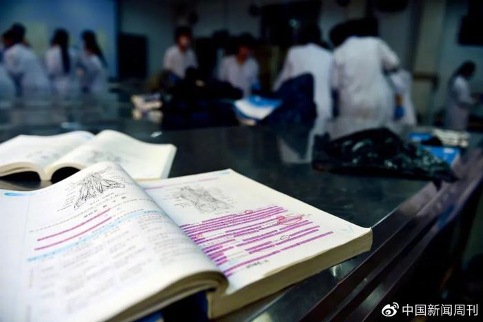 2017年9月19日,山东青岛一所大学临床医学专业大三的学生,在上入学以来的第一堂局部解剖课。图/视觉中国