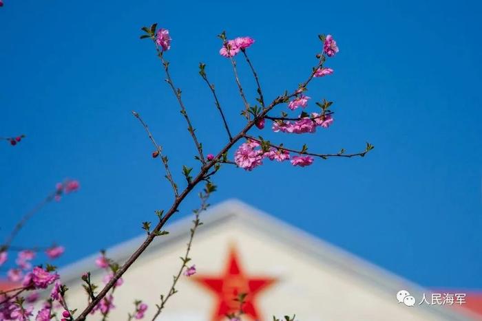 “校花”大比拼！看完你最想去海军哪所军校?