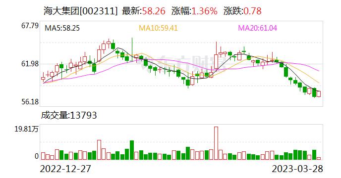 海大集团：公司具有较强的信息化系统 内部运营实现流程化、标准化和数据化