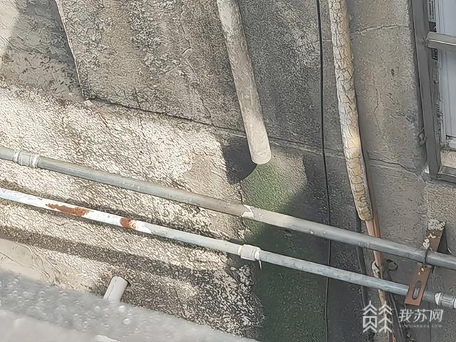 单元住户集体渗水 外墙雨水管惹的祸？|解忧帮