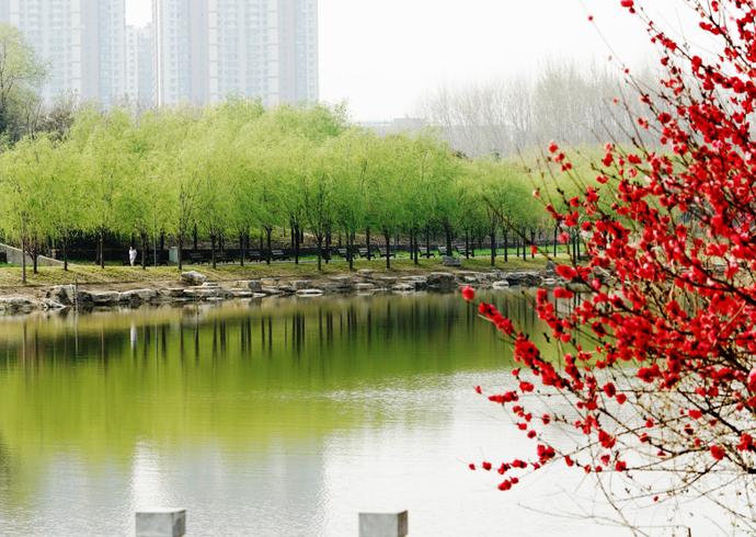 中国式现代化的“郑州图景”㉔｜信有山林在市城