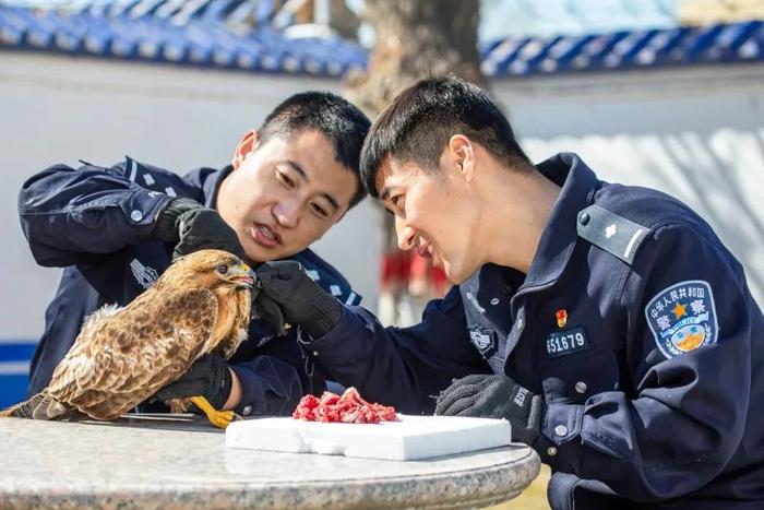 警察蜀黍又双叒叕营救“国保”动物了，这次它是……