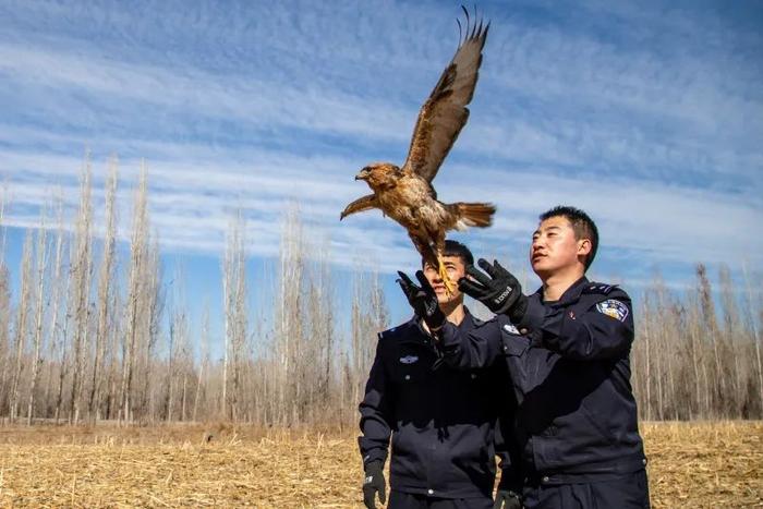 警察蜀黍又双叒叕营救“国保”动物了，这次它是……