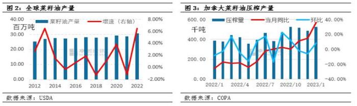 三大油脂短期暴跌，憧憬中的牛市怎么没了？