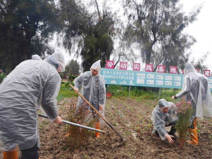 拥抱春天，播种绿色 浦发银行开展公益植树活动