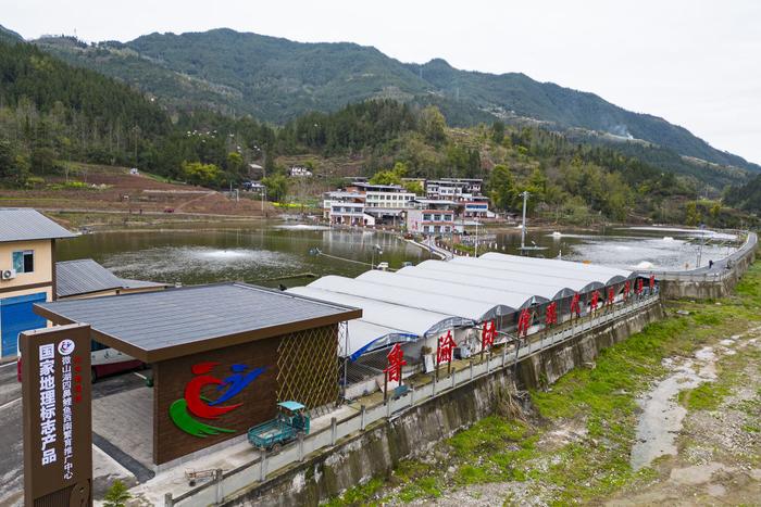 微山湖鲤鱼“链上”万州烤鱼 鲁渝协作打造生态产业链