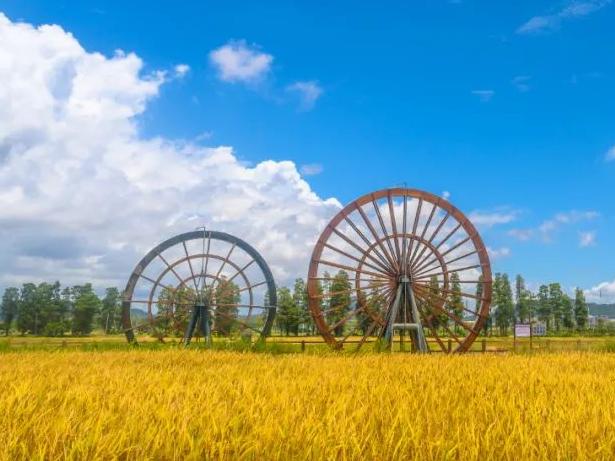 你好，我叫中山！这是我的最新简历