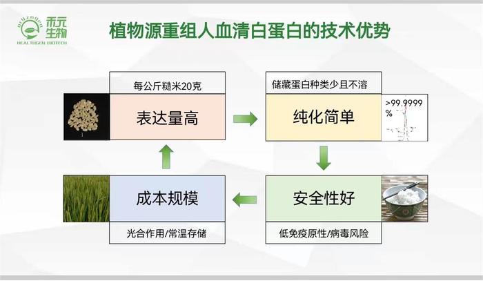 禾元生物发布植物源重组人血清白蛋白最新临床试验结果