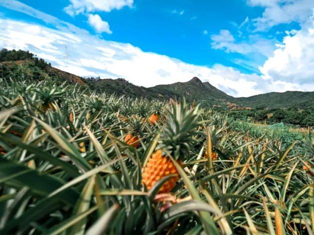 你好，我叫中山！这是我的最新简历