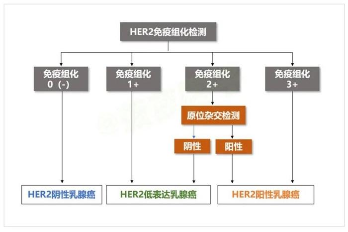 世界上有多少种肿瘤？