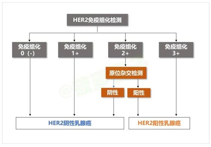 世界上有多少种肿瘤？