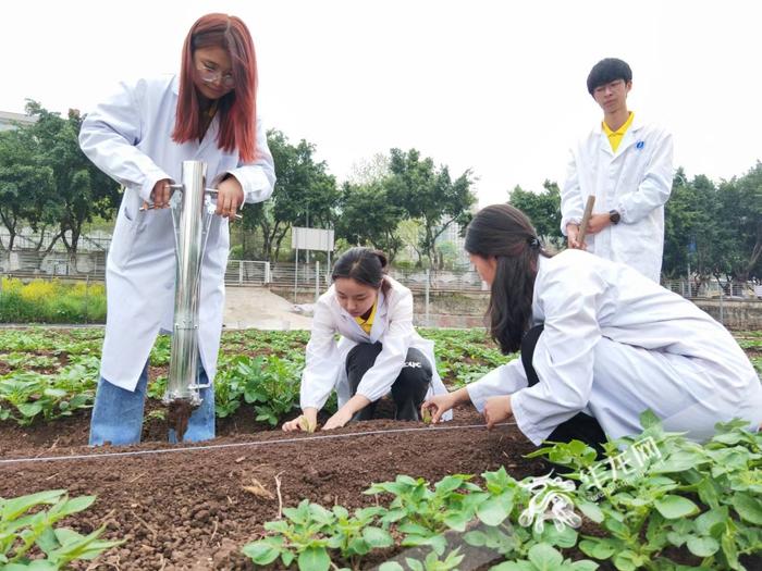 大学生劳动课程怎么上？重庆这所高校将第二课堂开在田间地头