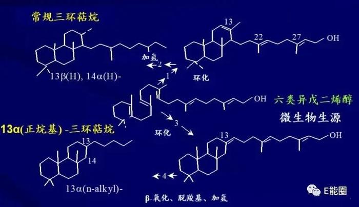 国内新能源行业的发展前景如何？