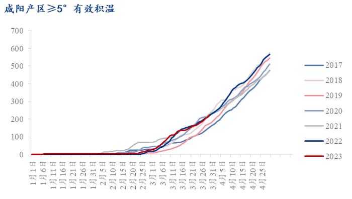 Mysteel解读：陕西产区苹果陆续进入始花期，关注4月初天气影响