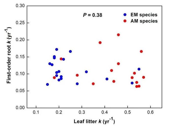 PNAS 高引文章 | 细根与凋落叶分解的动态和性状控制差异