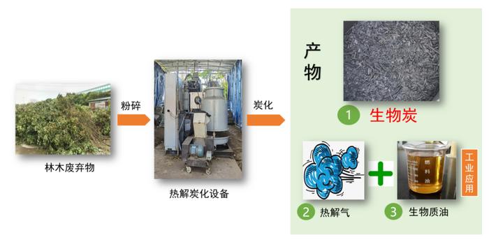 森林覆盖率高却多了烦恼，林木废弃物激增，上海有群人把炭拌到土里