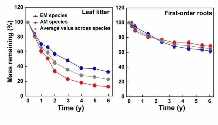 PNAS 高引文章 | 细根与凋落叶分解的动态和性状控制差异