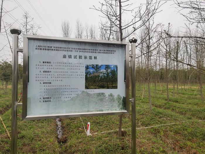 森林覆盖率高却多了烦恼，林木废弃物激增，上海有群人把炭拌到土里