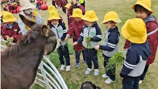 春游“重启”，赏花、探秘、参观、做任务……看看有你们学校吗？