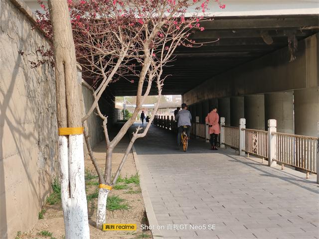 (街拍50mm模式)
