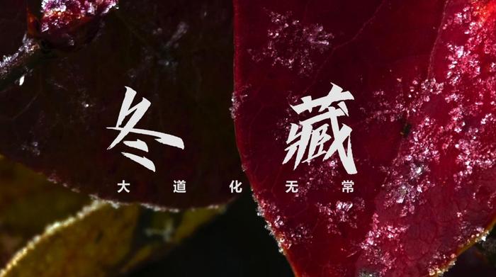纪录片《春夏秋冬又一春》丨一幅凝聚中国企业家精神的珍贵图鉴，邀你共同奔赴人间四季